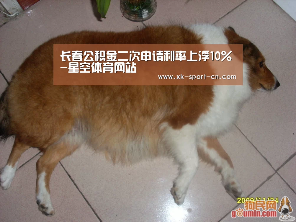 长春公积金二次申请利率上浮10%-星空体育网站(图4) 星空体育